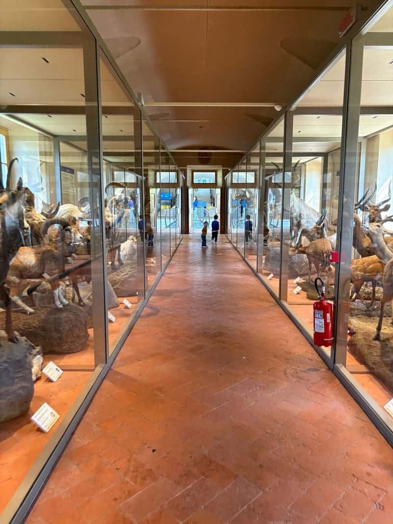 Toscana con niños