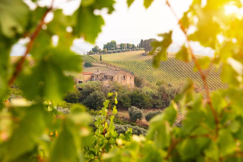 valle-del-chianti